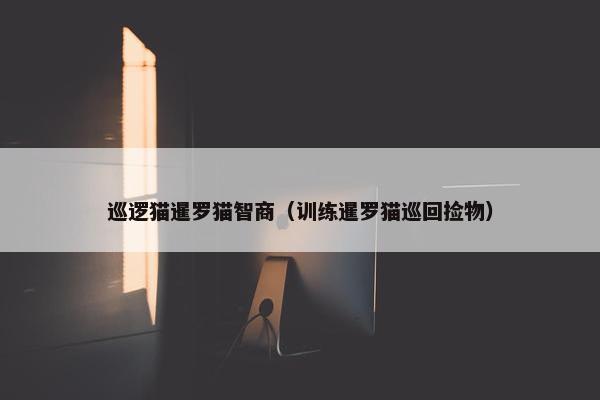 巡逻猫暹罗猫智商（训练暹罗猫巡回捡物）
