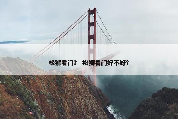 松狮看门？ 松狮看门好不好？