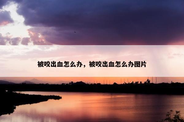 被咬出血怎么办,被咬出血怎么办图片