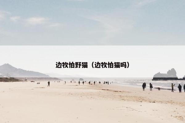 驱赶