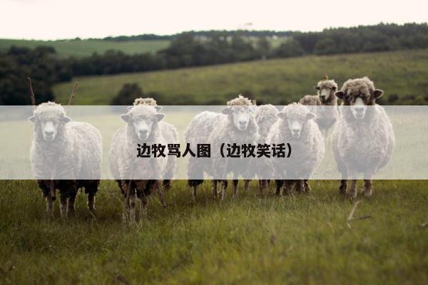边牧骂人图（边牧笑话）
