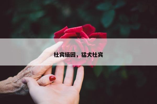 杜宾缅因，猛犬杜宾
