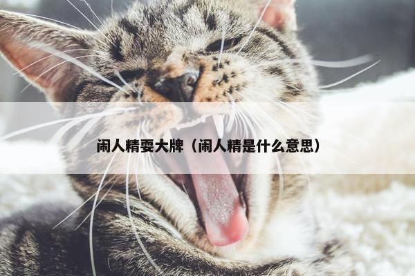 闹人精耍大牌（闹人精是什么意思）