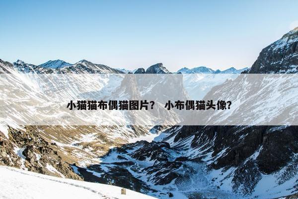 小猫猫布偶猫图片？ 小布偶猫头像？