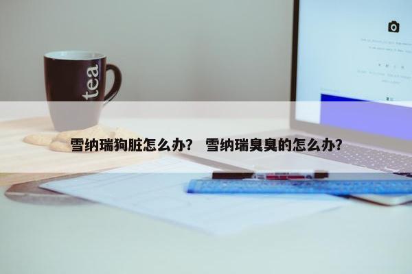 雪纳瑞狗脏怎么办？ 雪纳瑞臭臭的怎么办？