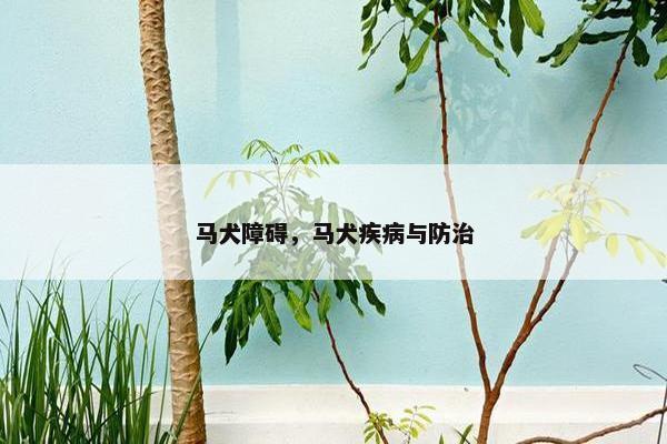 马犬障碍，马犬疾病与防治
