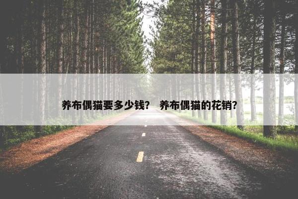 养布偶猫要多少钱？ 养布偶猫的花销？