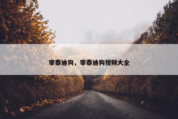 宰泰迪狗，宰泰迪狗视频大全