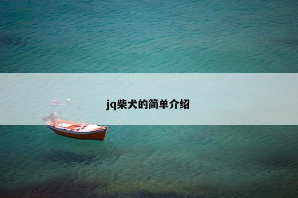 jq柴犬的简单介绍