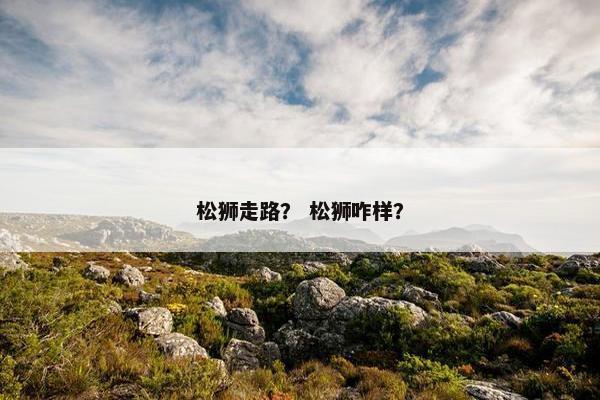 松狮走路？ 松狮咋样？