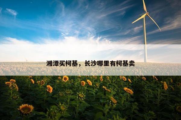 湘潭买柯基，长沙哪里有柯基卖