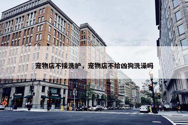 宠物店不接洗护，宠物店不给凶狗洗澡吗