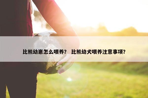 比熊幼崽怎么喂养? 比熊幼犬喂养注意事项?