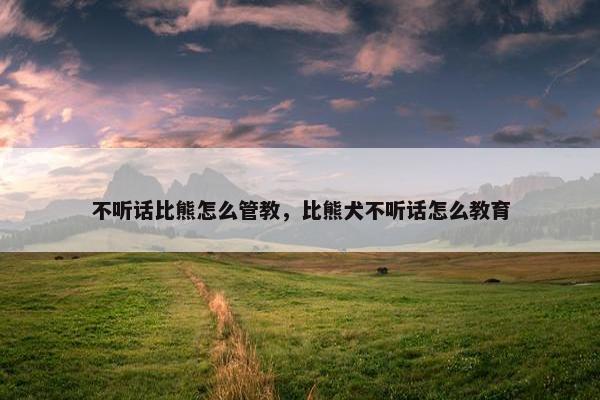 不听话比熊怎么管教，比熊犬不听话怎么教育