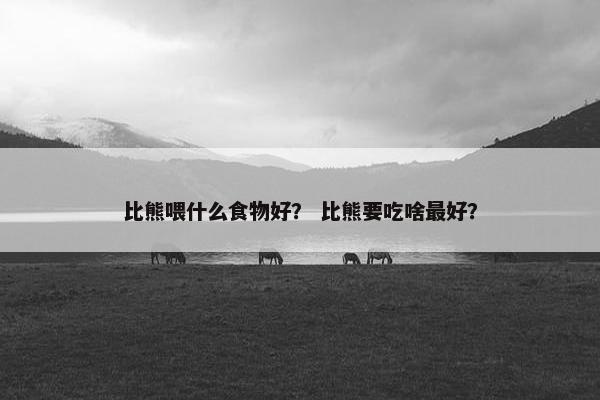 比熊喂什么食物好? 比熊要吃啥最好?