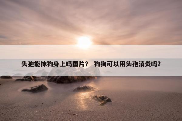 头孢能抹狗身上吗图片？ 狗狗可以用头孢消炎吗？