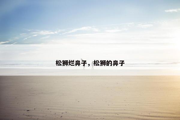 松狮烂鼻子，松狮的鼻子