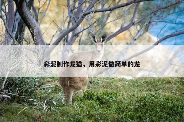 摆件