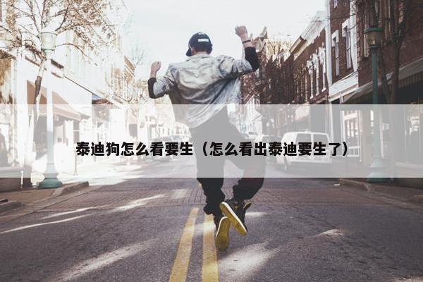 泰迪狗怎么看要生（怎么看出泰迪要生了）