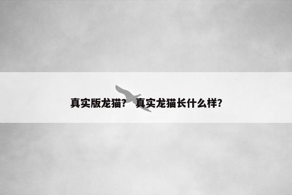 真实版龙猫? 真实龙猫长什么样?