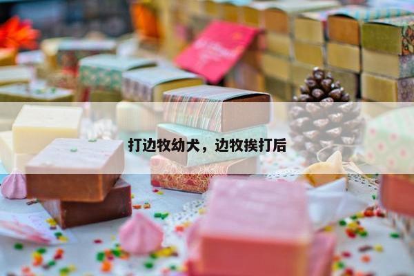 打边牧幼犬，边牧挨打后
