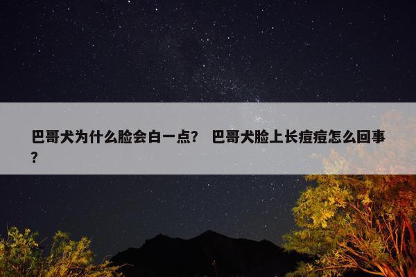 巴哥犬为什么脸会白一点？ 巴哥犬脸上长痘痘怎么回事？