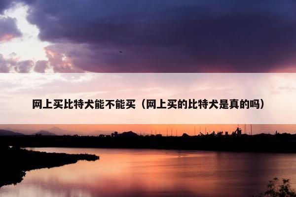 网上买比特犬能不能买（网上买的比特犬是真的吗）