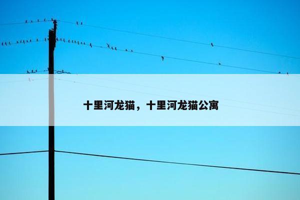 十里
