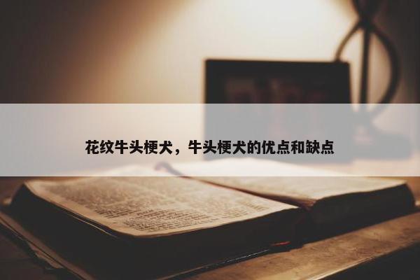 花纹牛头梗犬，牛头梗犬的优点和缺点
