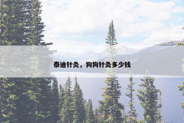 泰迪针灸，狗狗针灸多少钱