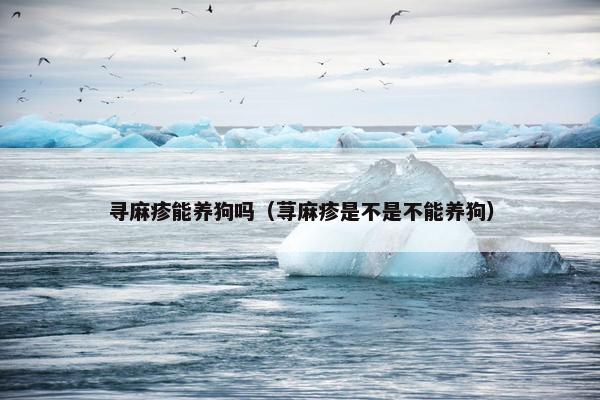 寻麻疹能养狗吗（荨麻疹是不是不能养狗）