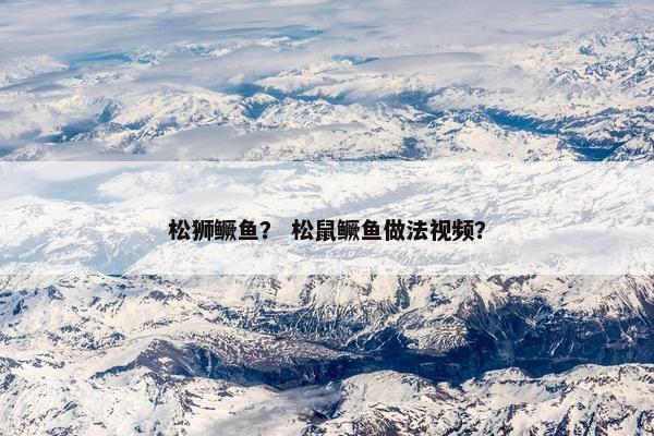 松狮鳜鱼？ 松鼠鳜鱼做法视频？