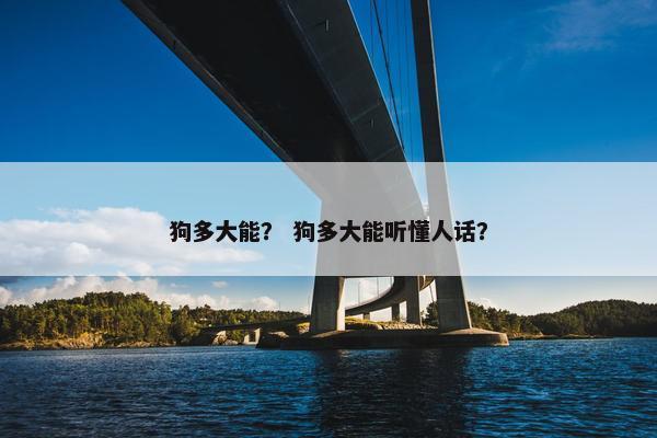 狗多大能？ 狗多大能听懂人话？