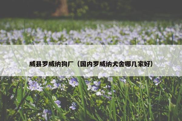 威县罗威纳狗厂（国内罗威纳犬舍哪几家好）