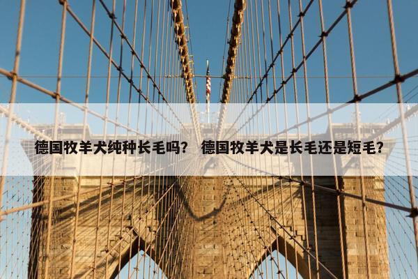 德国牧羊犬纯种长毛吗？ 德国牧羊犬是长毛还是短毛？