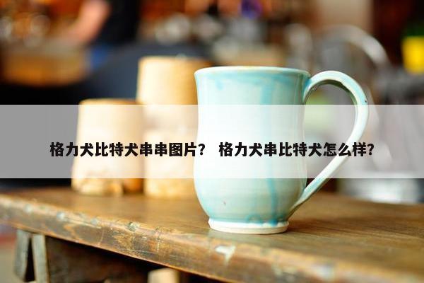 格力犬比特犬串串图片？ 格力犬串比特犬怎么样？