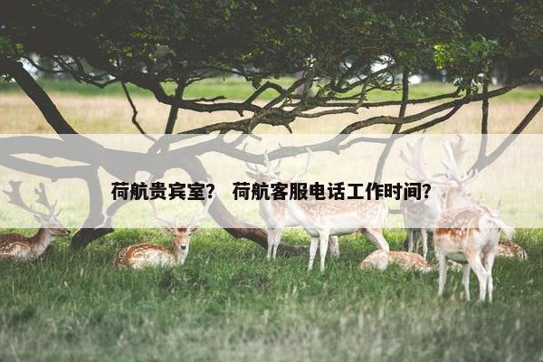 航班