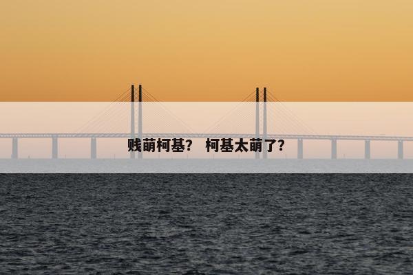 贱萌柯基? 柯基太萌了?