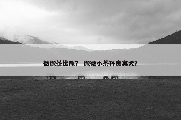 微微茶比熊？ 微微小茶杯贵宾犬？