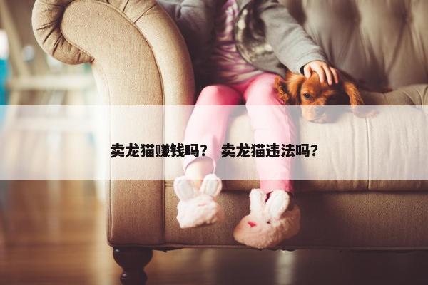 卖龙猫赚钱吗？ 卖龙猫违法吗？