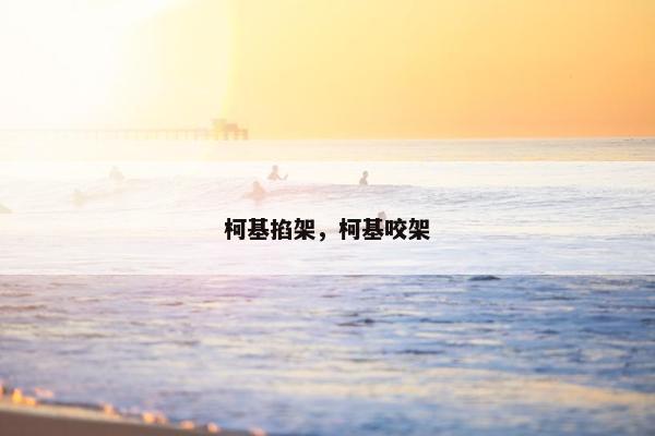 柯基掐架，柯基咬架