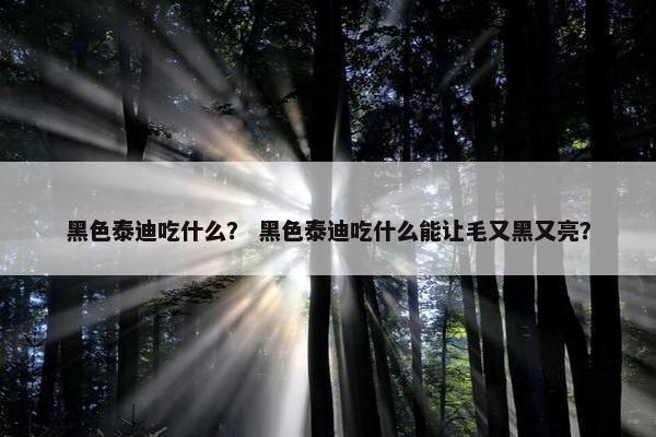 黑色泰迪吃什么？ 黑色泰迪吃什么能让毛又黑又亮？