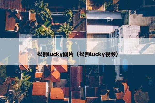 松狮lucky图片(松狮lucky视频)