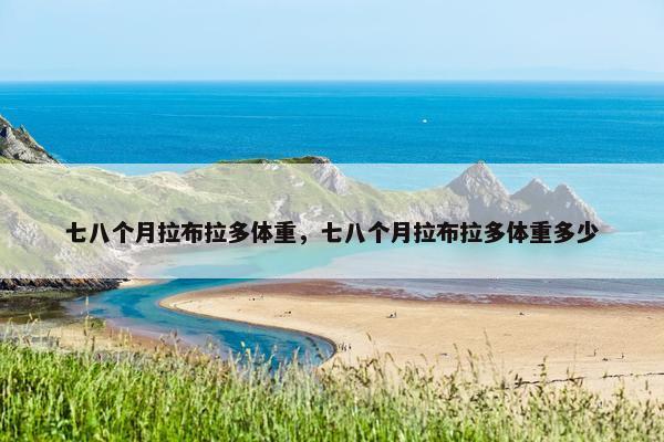 七八个月拉布拉多体重，七八个月拉布拉多体重多少