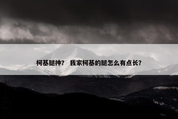 精选