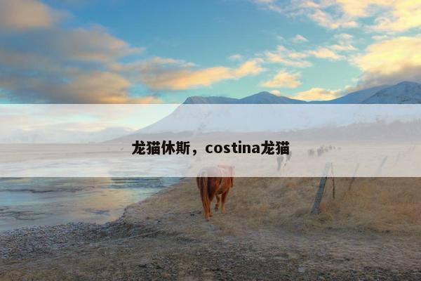龙猫休斯,costina龙猫