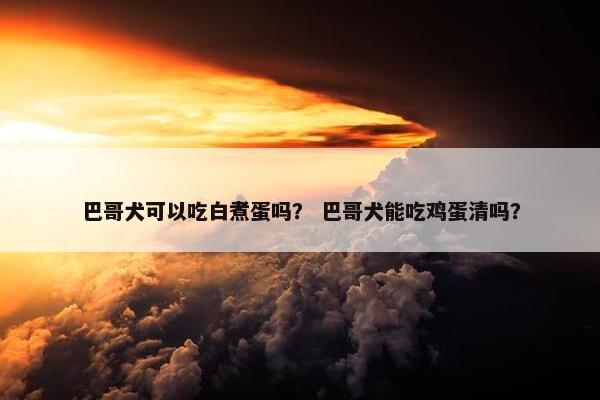 鸡蛋