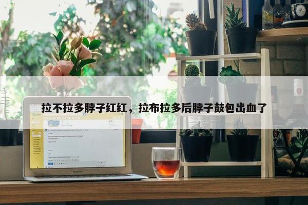 拉不拉多脖子红红,拉布拉多后脖子鼓包出血了