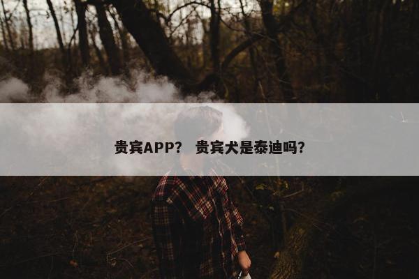 贵宾APP？ 贵宾犬是泰迪吗？