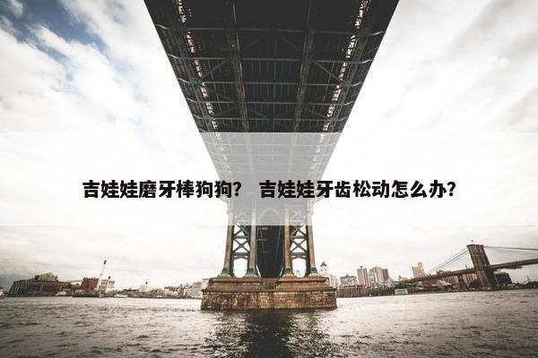 吉娃娃磨牙棒狗狗？ 吉娃娃牙齿松动怎么办？